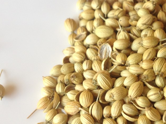 Coriander seeds